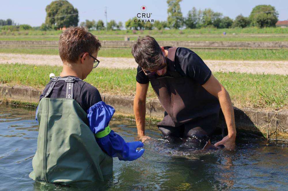 CRU CAVIAR Parco Del Mincio Goito Mantova