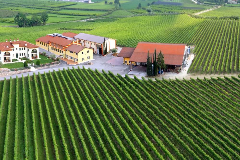 CANTINA MONTE DEL FRÀ