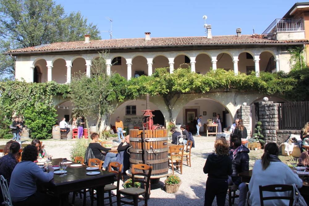 Azienda Agricola La Torre