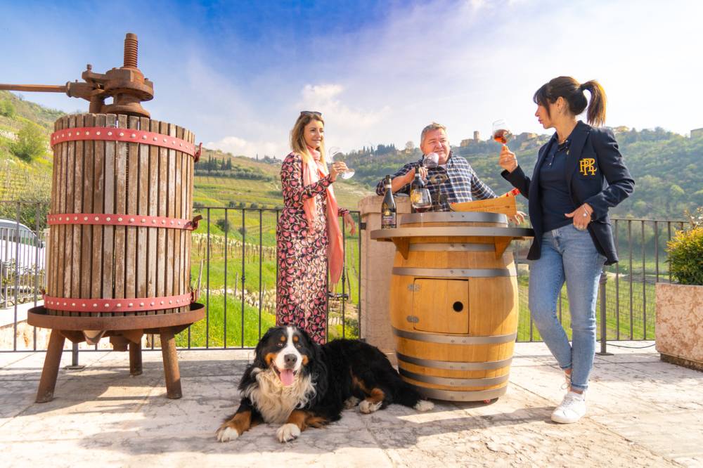 Romeo & Juliet guide - Wine Tours in Valpolicella